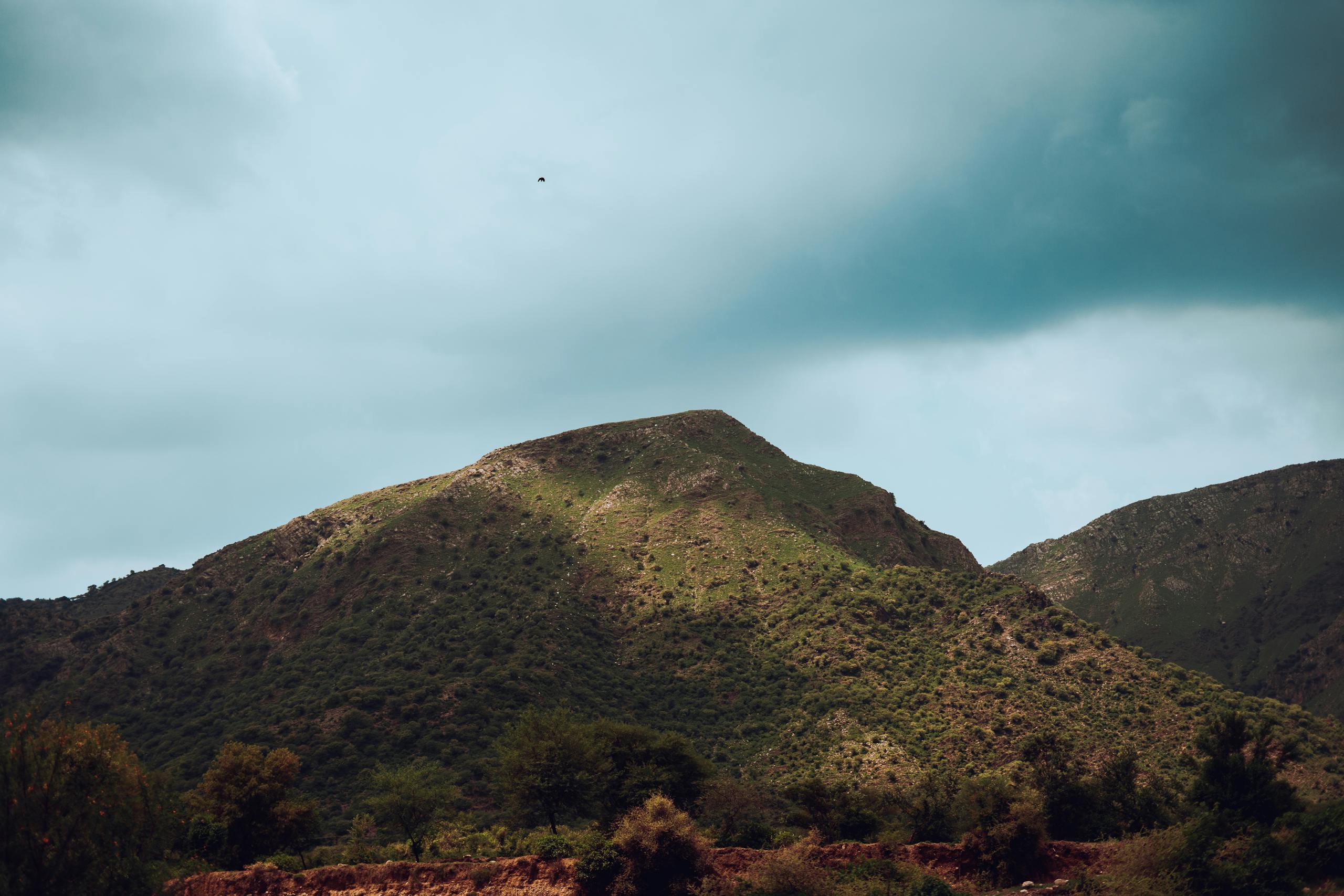 Peaceful landscape of verdant hills and a sundrenched sky, perfect for nature lovers.